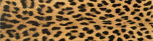 Load image into Gallery viewer, Cheetah Headband
