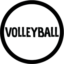 Load image into Gallery viewer, Volleyball Colored Round Decal (F)
