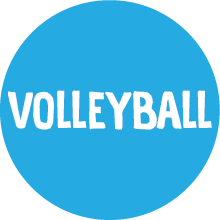Load image into Gallery viewer, Volleyball Colored Round Decal (F)
