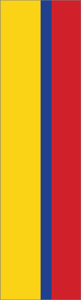 Colombia Flag Headband