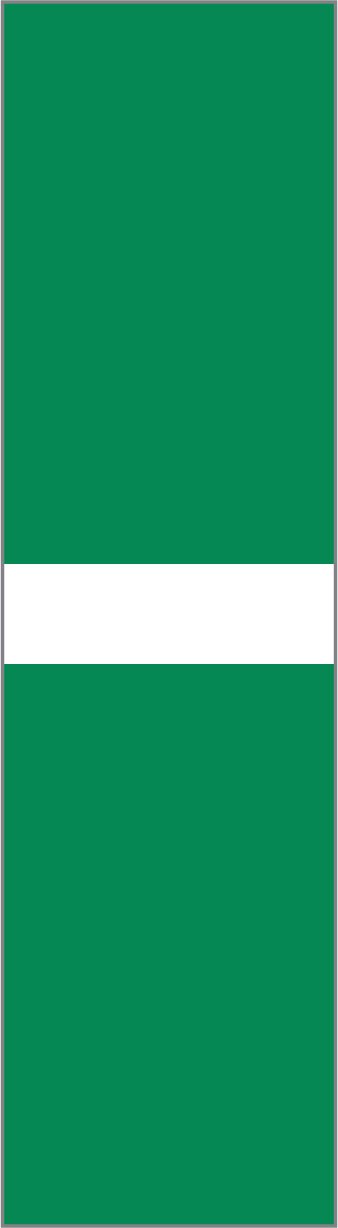 Nigeria Flag Headband